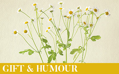 Gift & Humour